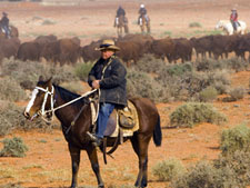 Australia-South Australia-Great Aussie Cattle Drive